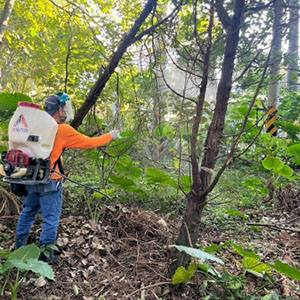 114年(下半年)全機構消毒(青苔+消毒除蟲)報告